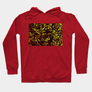 Christmas time Hoodie